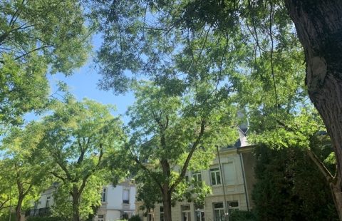 METZ – Bien d’exception